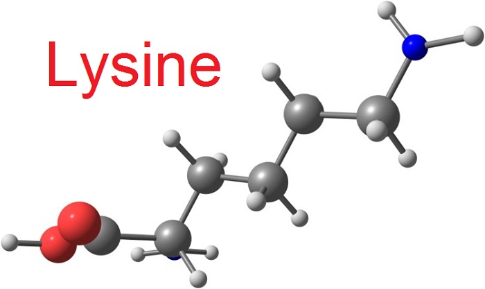 Lysine là gì? quan trọng ra sao với vị giác trẻ biếng ăn?